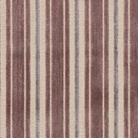 Whitfield_Stripe_Rose